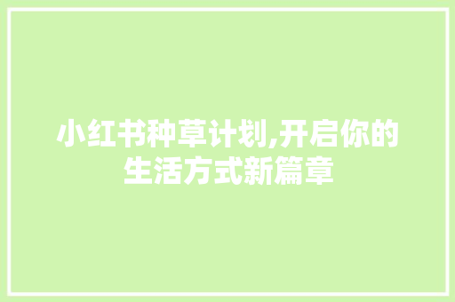 小红书种草计划,开启你的生活方式新篇章