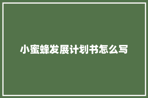 小蜜蜂发展计划书怎么写