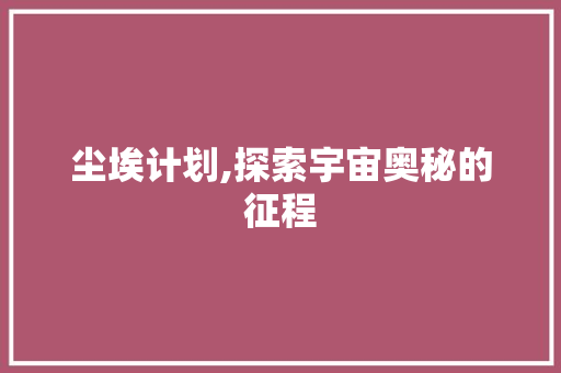 尘埃计划,探索宇宙奥秘的征程