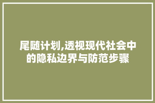 尾随计划,透视现代社会中的隐私边界与防范步骤