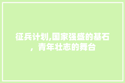 征兵计划,国家强盛的基石，青年壮志的舞台 诗歌创作