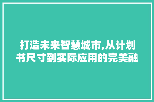 打造未来智慧城市,从计划书尺寸到实际应用的完美融合