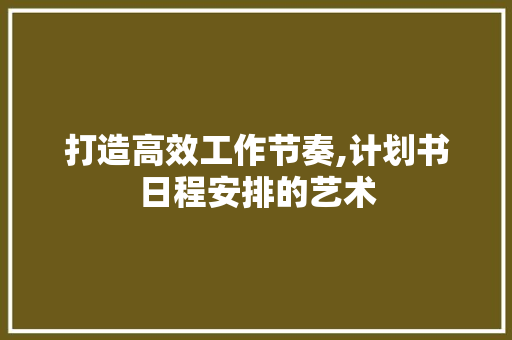 打造高效工作节奏,计划书日程安排的艺术