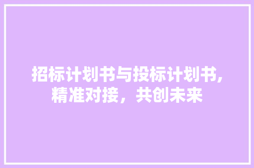 招标计划书与投标计划书,精准对接，共创未来