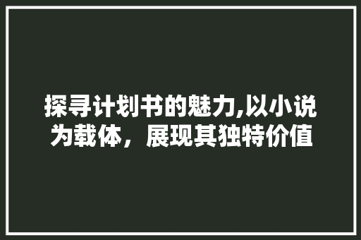 探寻计划书的魅力,以小说为载体，展现其独特价值 报告写作
