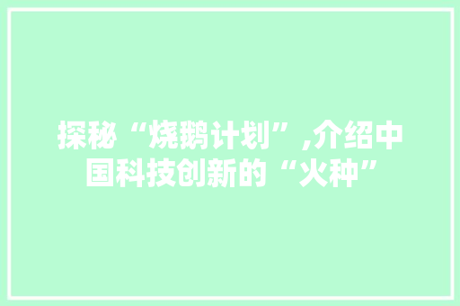 探秘“烧鹅计划”,介绍中国科技创新的“火种”
