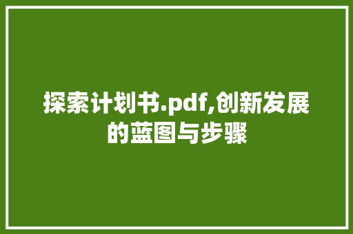 探索计划书.pdf,创新发展的蓝图与步骤