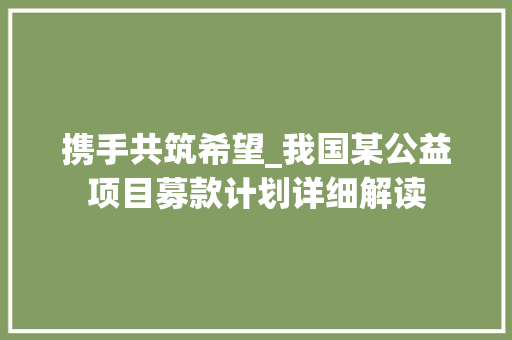 携手共筑希望_我国某公益项目募款计划详细解读 写作素材