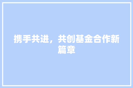 携手共进，共创基金合作新篇章 写作素材