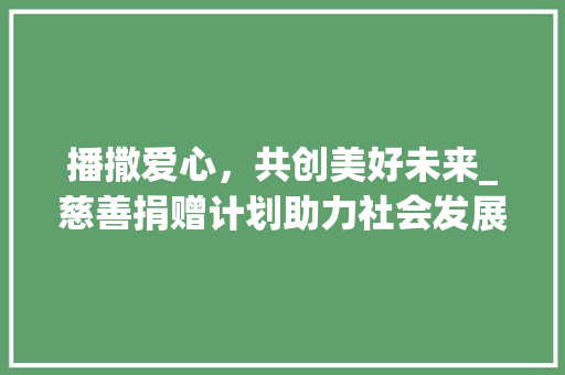 播撒爱心，共创美好未来_慈善捐赠计划助力社会发展