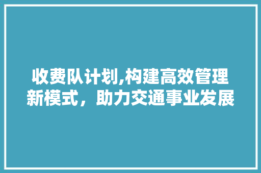 收费队计划,构建高效管理新模式，助力交通事业发展