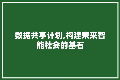 数据共享计划,构建未来智能社会的基石