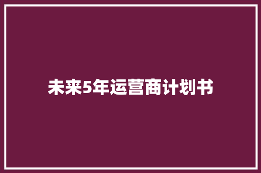 未来5年运营商计划书