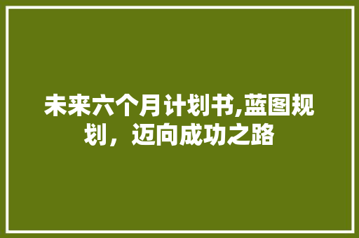 未来六个月计划书,蓝图规划，迈向成功之路