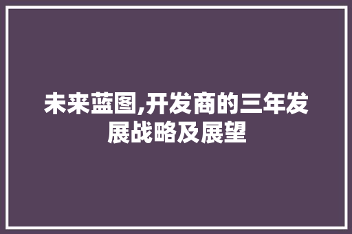 未来蓝图,开发商的三年发展战略及展望 报告写作