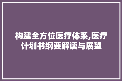 构建全方位医疗体系,医疗计划书纲要解读与展望