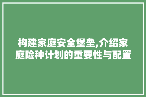 构建家庭安全堡垒,介绍家庭险种计划的重要性与配置步骤 商业文案
