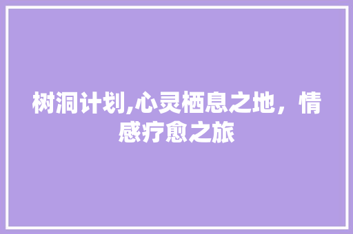 树洞计划,心灵栖息之地，情感疗愈之旅 写作技巧