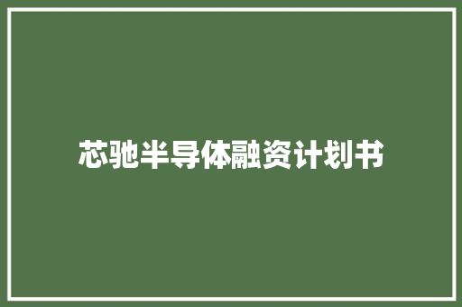 芯驰半导体融资计划书 报告写作