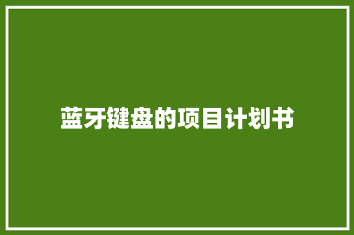 蓝牙键盘的项目计划书