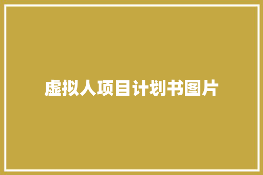 虚拟人项目计划书图片