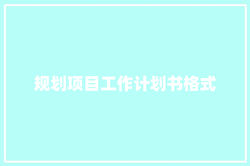 规划项目工作计划书格式