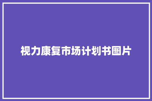 视力康复市场计划书图片 报告写作