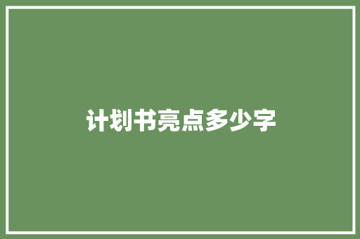 计划书亮点多少字