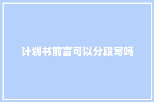 计划书前言可以分段写吗