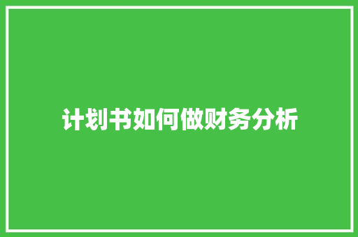 计划书如何做财务分析
