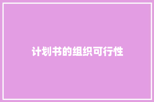计划书的组织可行性
