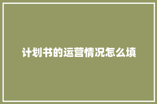 计划书的运营情况怎么填