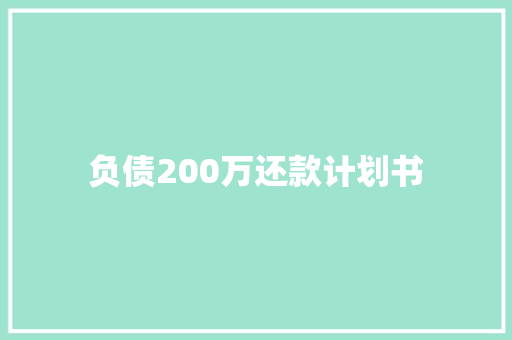 负债200万还款计划书