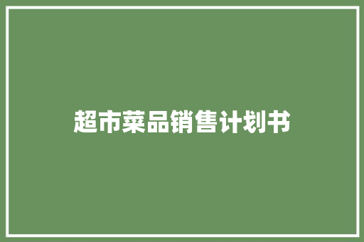 超市菜品销售计划书