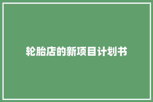 轮胎店的新项目计划书