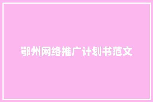 鄂州网络推广计划书范文