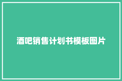 酒吧销售计划书模板图片 写作技巧