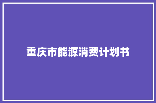 重庆市能源消费计划书 商业文案