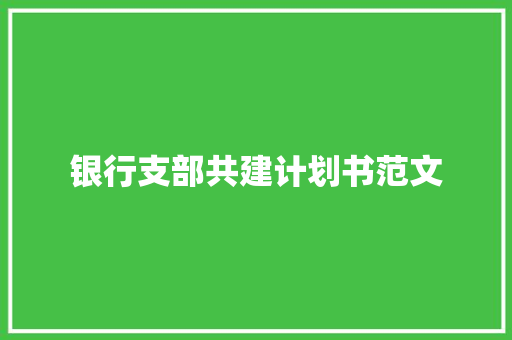 银行支部共建计划书范文