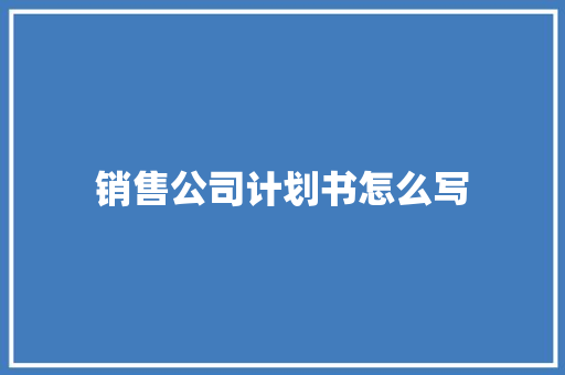销售公司计划书怎么写 范文赏析