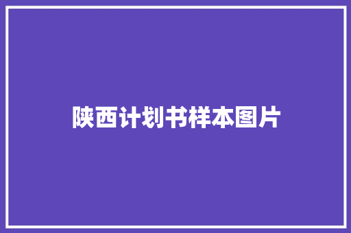 陕西计划书样本图片