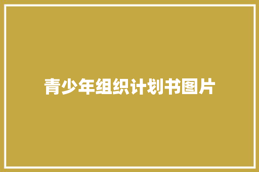 青少年组织计划书图片