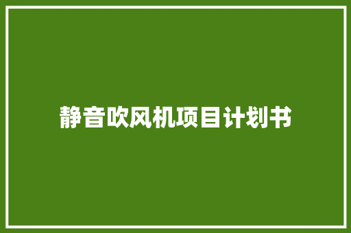 静音吹风机项目计划书