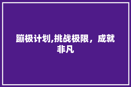 蹦极计划,挑战极限，成就非凡