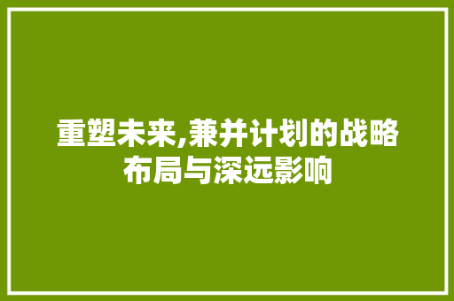 重塑未来,兼并计划的战略布局与深远影响