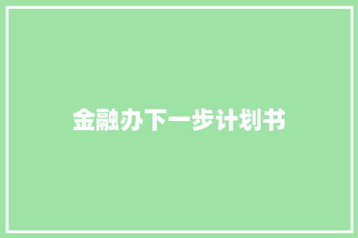金融办下一步计划书