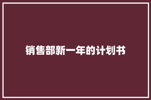 销售部新一年的计划书