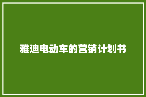 雅迪电动车的营销计划书