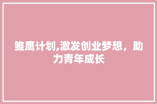 雏鹰计划,激发创业梦想，助力青年成长