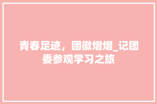 青春足迹，团徽熠熠_记团委参观学习之旅